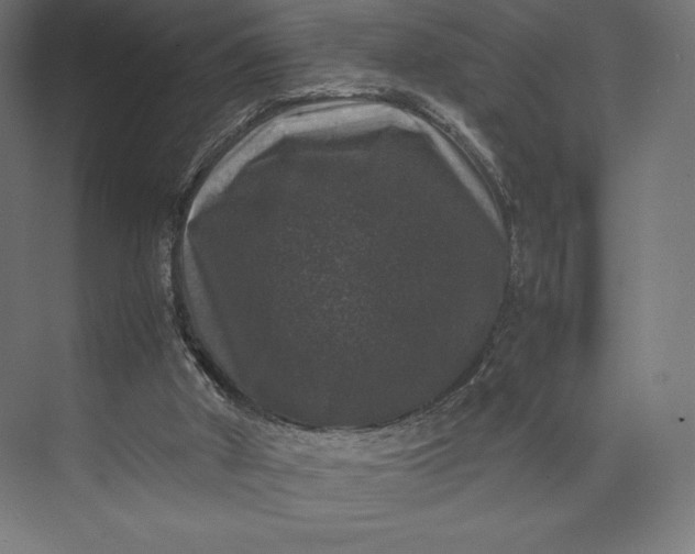 X0000074030010200609061153