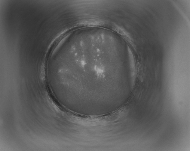 X0000074030012200609061153