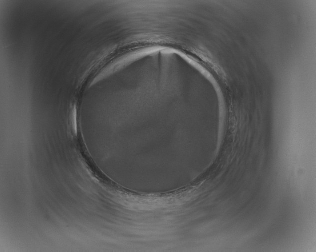 X0000074030014200609061153