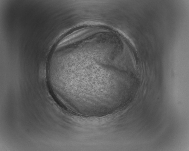 X0000074030015200609061153