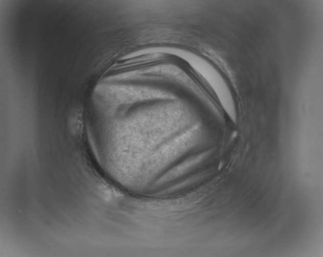 X0000074030017200609061153