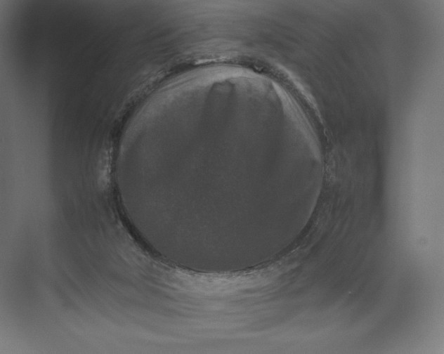 X0000074030018200609061153