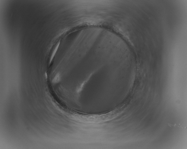 X0000074030019200609061153