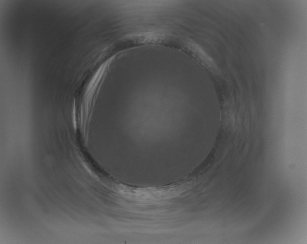 X0000074030022200609061153