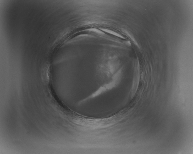 X0000074030023200609061153