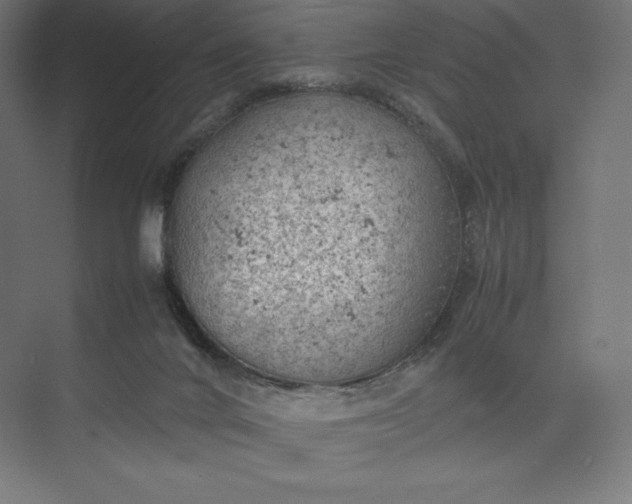 X0000074030024200609061153