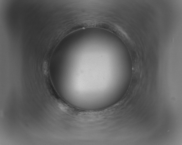 X0000074030025200609061153