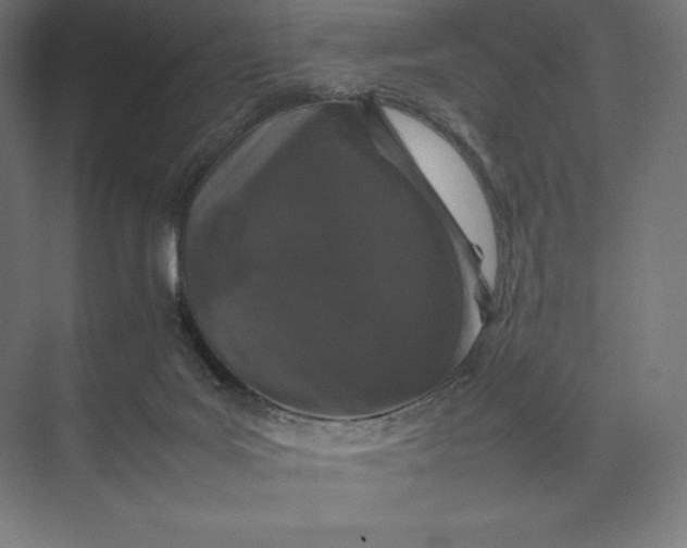 X0000074030027200609061153