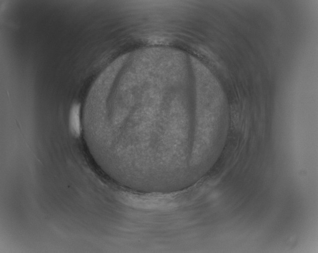 X0000074030028200609061153