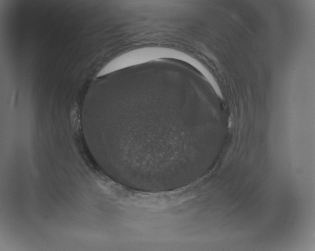 X0000074030029200609061153