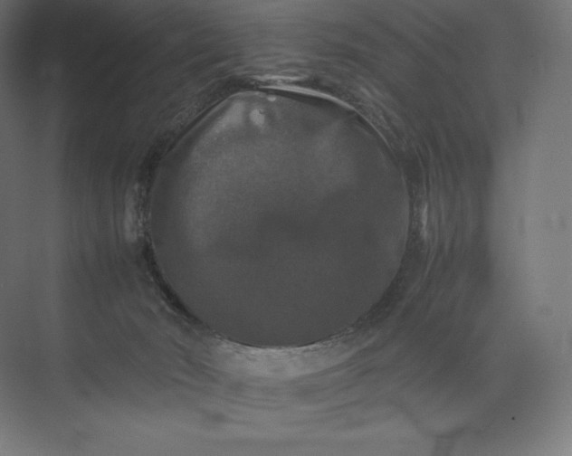 X0000074030030200609061153