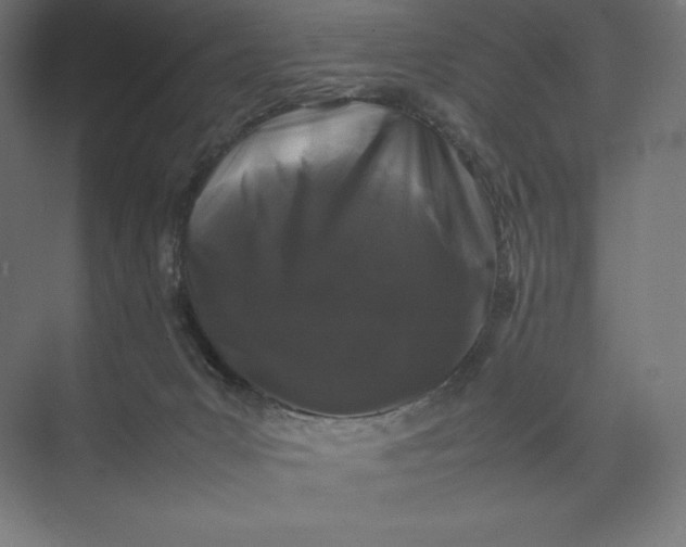 X0000074030031200609061153