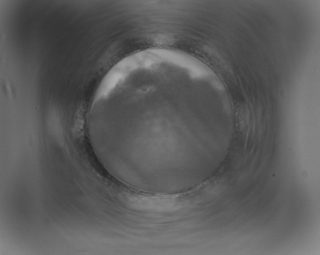 X0000074030032200609061153