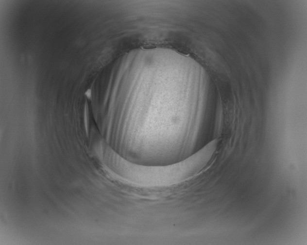 X0000074030033200609061153