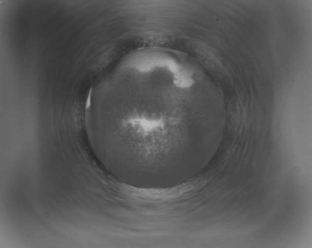 X0000074030034200609061153