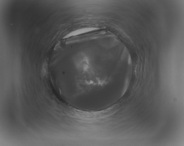 X0000074030035200609061153