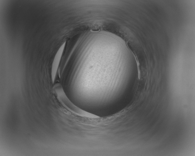 X0000074030037200609061153