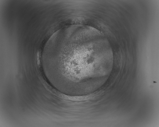 X0000074030038200609061153