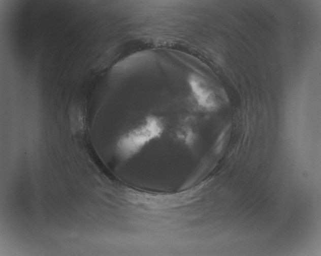 X0000074030039200609061153