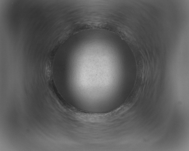 X0000074030040200609061153