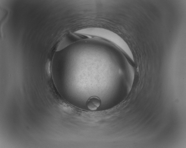 X0000074030041200609061153