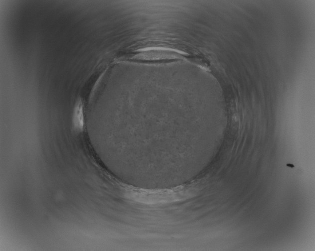 X0000074030042200609061153