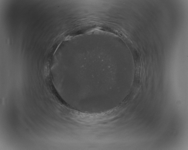 X0000074030043200609061153