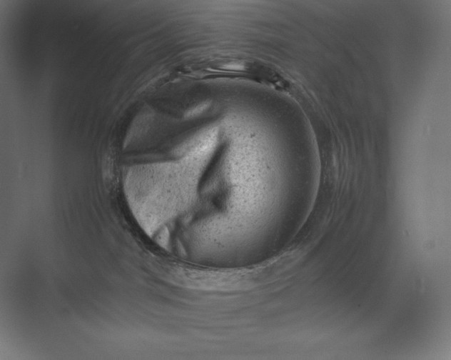 X0000074030044200609061153