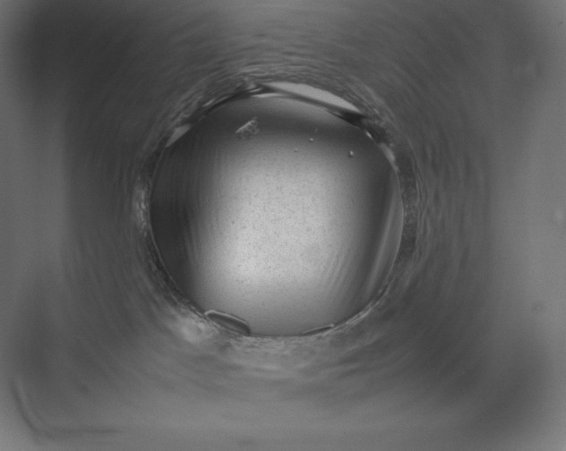 X0000074030045200609061153