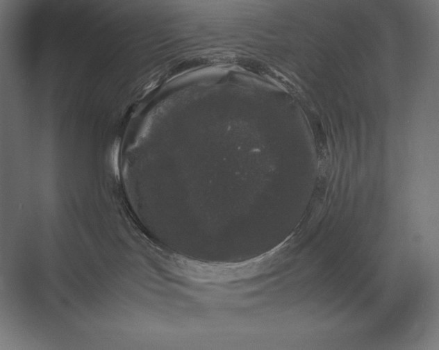 X0000074030047200609061153