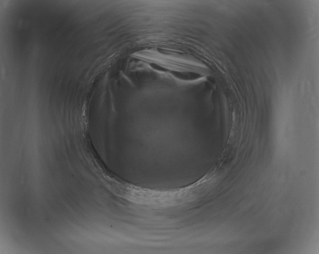 X0000074030048200609061153