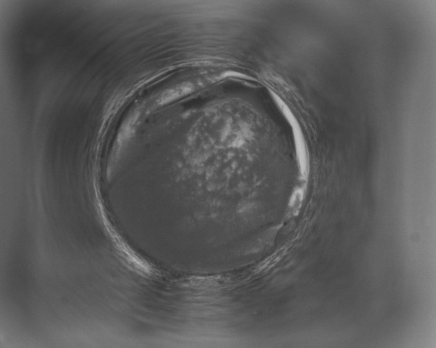 X0000074030049200609061152