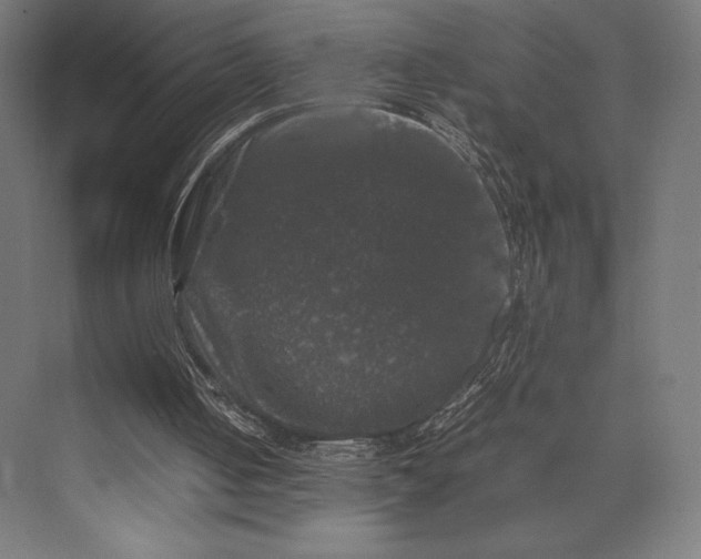 X0000074030050200609061152