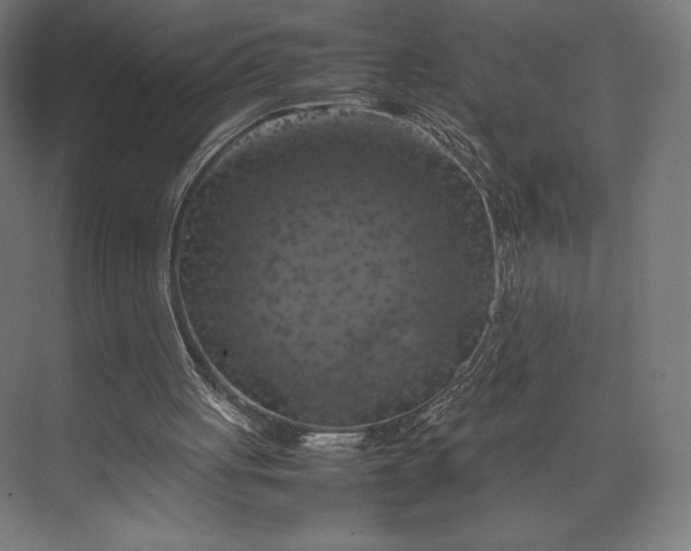 X0000074030051200609061152