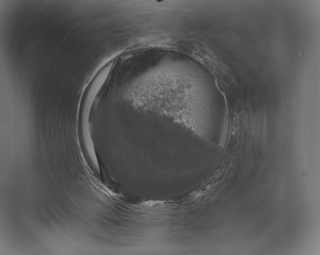 X0000074030052200609061152