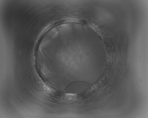 X0000074030053200609061152