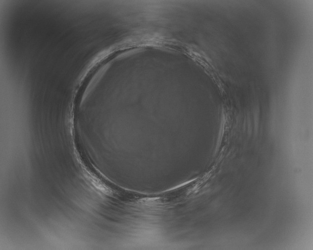 X0000074030054200609061152