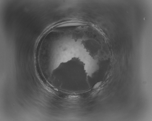 X0000074030055200609061152