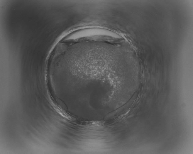 X0000074030056200609061152