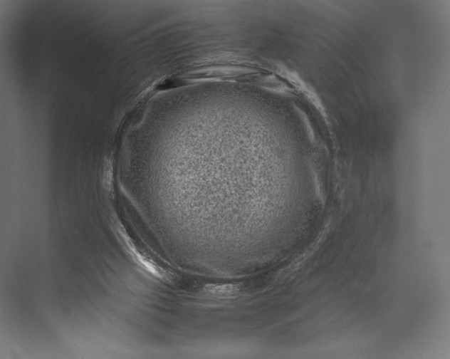 X0000074030057200609061152