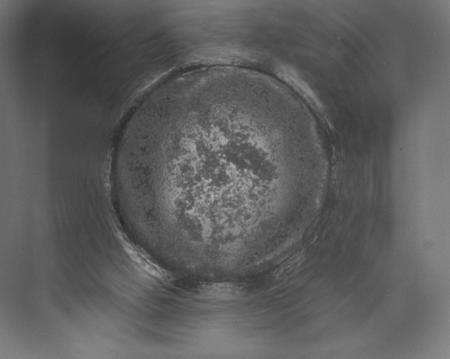 X0000074030058200609061152