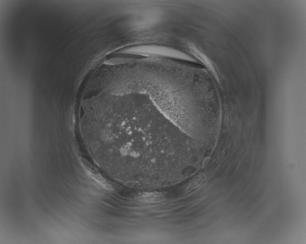 X0000074030059200609061152