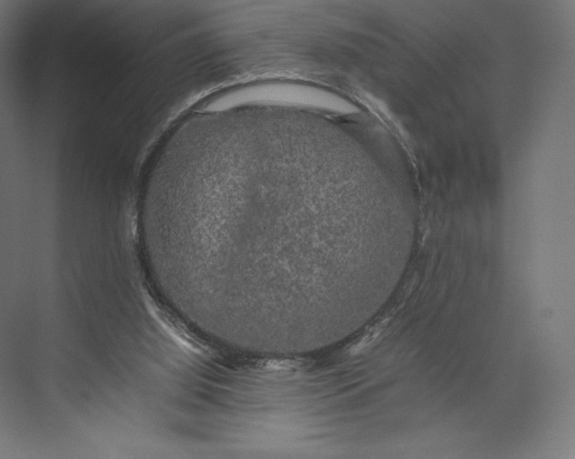 X0000074030060200609061152