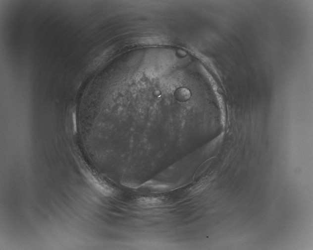 X0000074030061200609061152