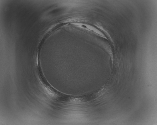 X0000074030062200609061152