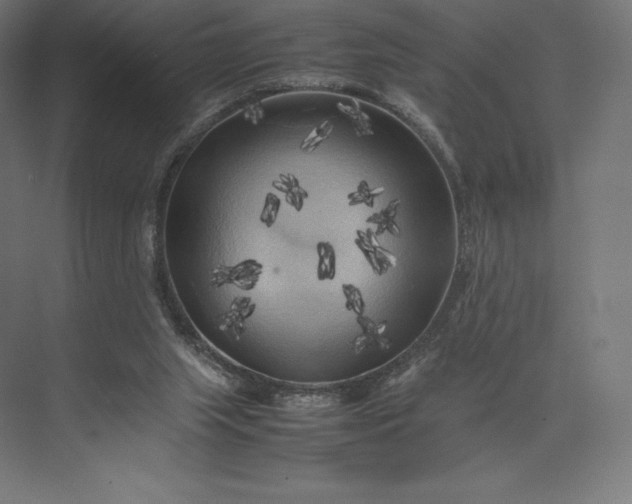 X0000074030063200609061152