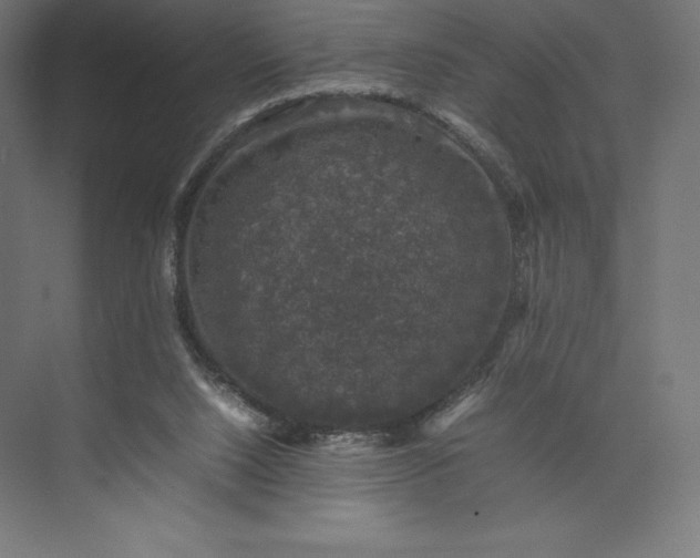 X0000074030064200609061152