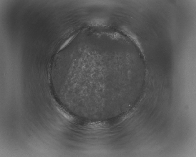 X0000074030065200609061152