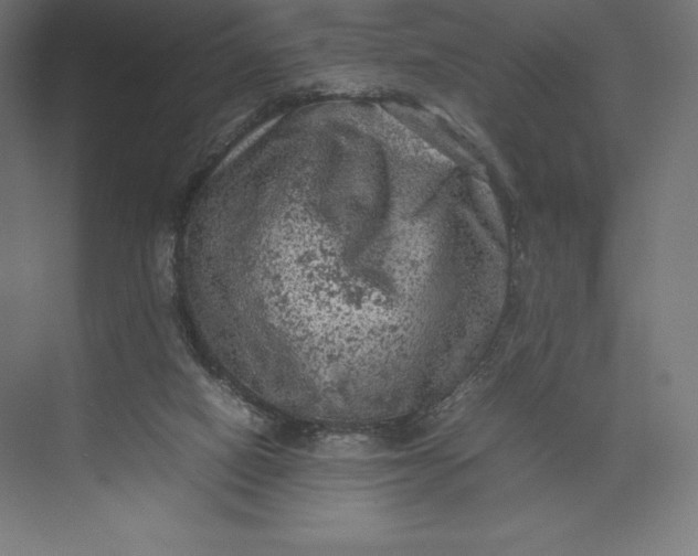 X0000074030066200609061152