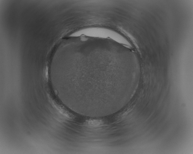 X0000074030067200609061152